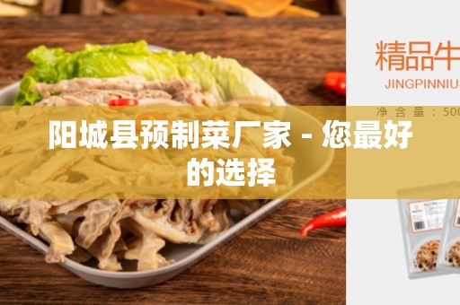 阳城县预制菜厂家 - 您最好的选择