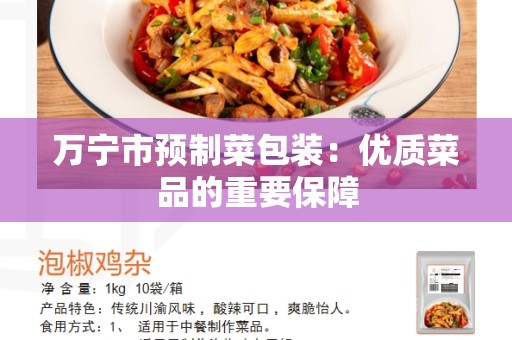 万宁市预制菜包装：优质菜品的重要保障