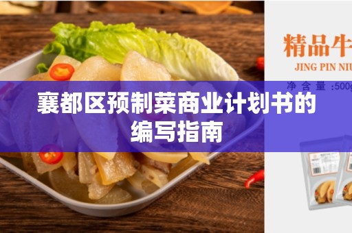 襄都区预制菜商业计划书的编写指南