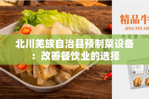北川羌族自治县预制菜设备：改善餐饮业的选择