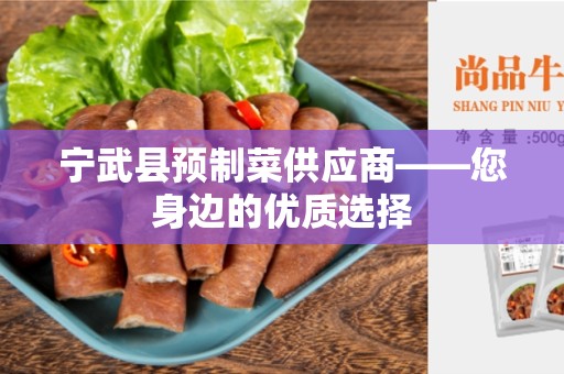 宁武县预制菜供应商——您身边的优质选择