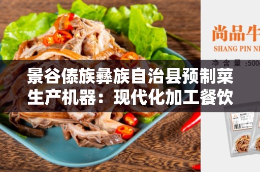 景谷傣族彝族自治县预制菜生产机器：现代化加工餐饮行业的利器