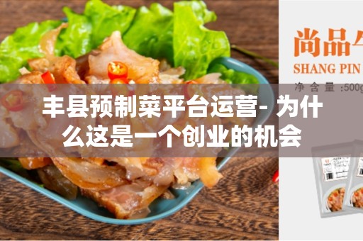 丰县预制菜平台运营- 为什么这是一个创业的机会