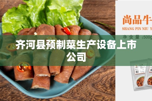 齐河县预制菜生产设备上市公司