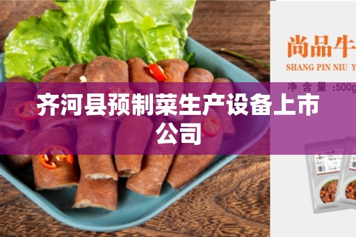 齐河县预制菜生产设备上市公司