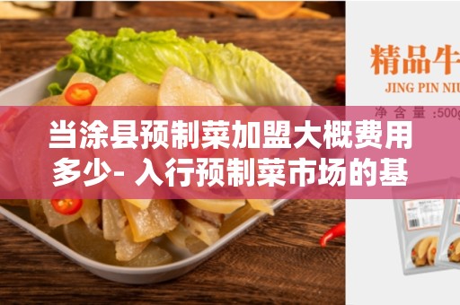 当涂县预制菜加盟大概费用多少- 入行预制菜市场的基本费用