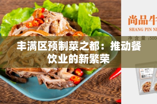 丰满区预制菜之都：推动餐饮业的新繁荣