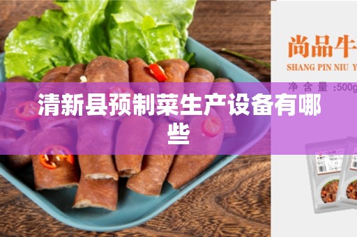 清新县预制菜生产设备有哪些