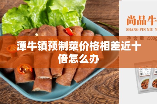潭牛镇预制菜价格相差近十倍怎么办