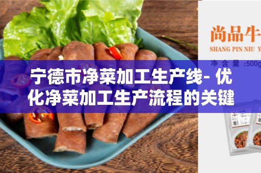 宁德市净菜加工生产线- 优化净菜加工生产流程的关键解决方案