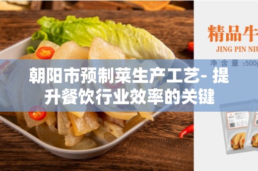 朝阳市预制菜生产工艺- 提升餐饮行业效率的关键