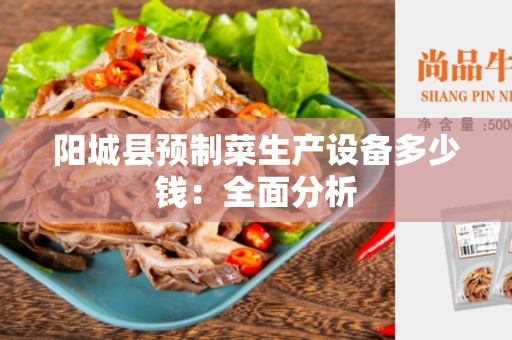 阳城县预制菜生产设备多少钱：全面分析