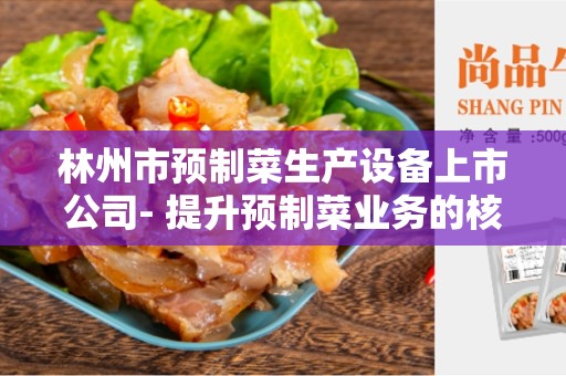 林州市预制菜生产设备上市公司- 提升预制菜业务的核心利器