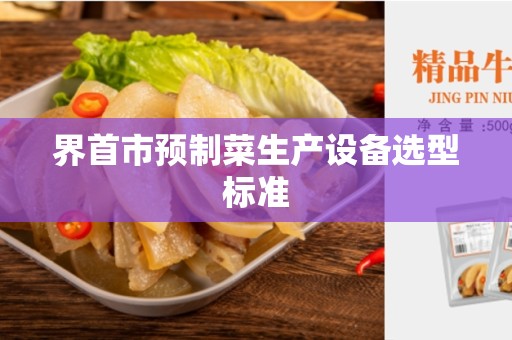 界首市预制菜生产设备选型标准