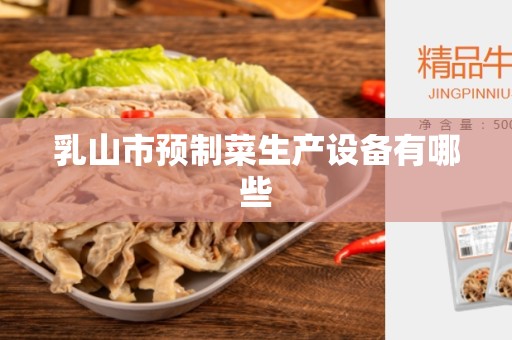 乳山市预制菜生产设备有哪些