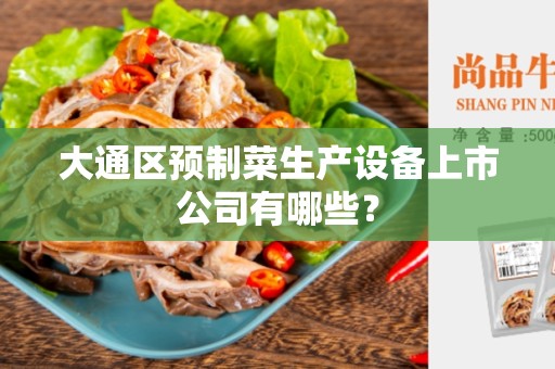 大通区预制菜生产设备上市公司有哪些？