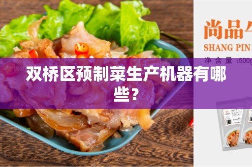 双桥区预制菜生产机器有哪些？
