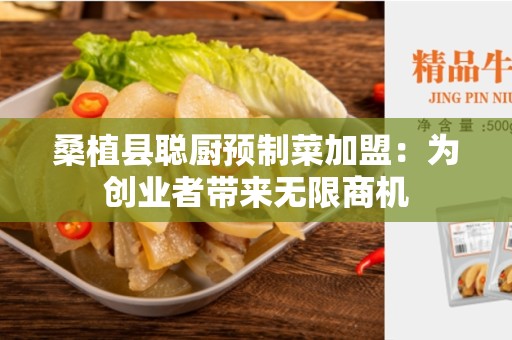 桑植县聪厨预制菜加盟：为创业者带来无限商机
