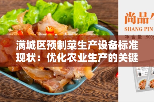 满城区预制菜生产设备标准现状：优化农业生产的关键