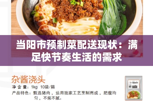 当阳市预制菜配送现状：满足快节奏生活的需求