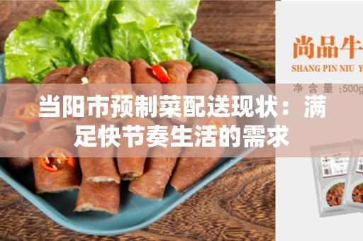 当阳市预制菜配送现状：满足快节奏生活的需求