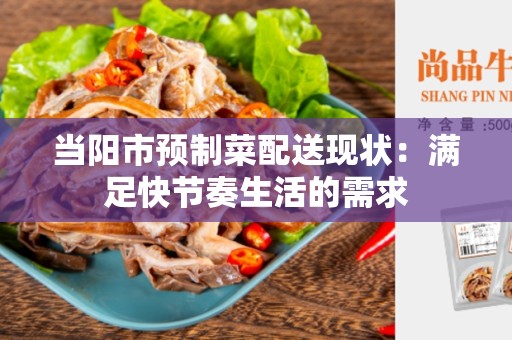 当阳市预制菜配送现状：满足快节奏生活的需求