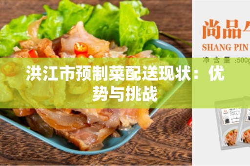 洪江市预制菜配送现状：优势与挑战