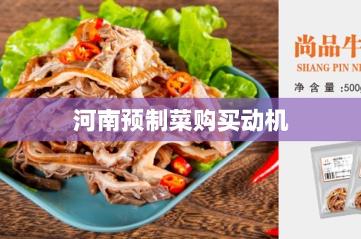 河南预制菜购买动机