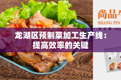 龙湖区预制菜加工生产线：提高效率的关键