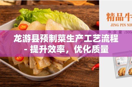 龙游县预制菜生产工艺流程- 提升效率，优化质量