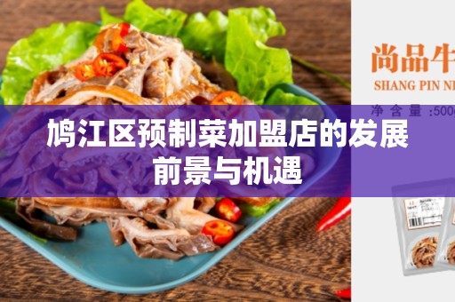 鸠江区预制菜加盟店的发展前景与机遇