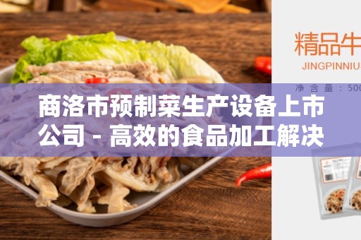 商洛市预制菜生产设备上市公司 - 高效的食品加工解决方案