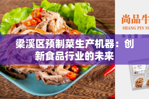 梁溪区预制菜生产机器：创新食品行业的未来