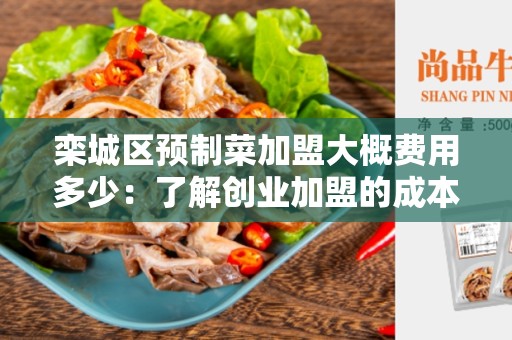 栾城区预制菜加盟大概费用多少：了解创业加盟的成本与机会
