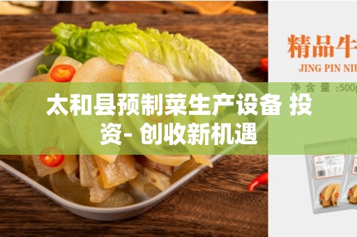 太和县预制菜生产设备 投资- 创收新机遇