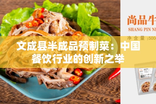 文成县半成品预制菜：中国餐饮行业的创新之举