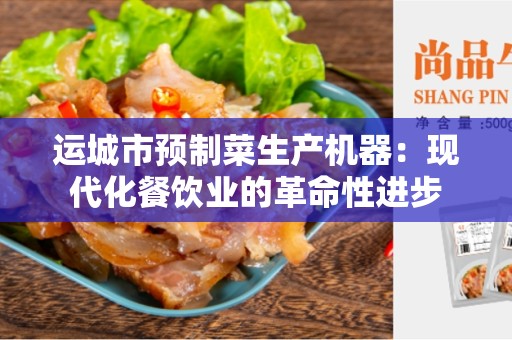 运城市预制菜生产机器：现代化餐饮业的革命性进步