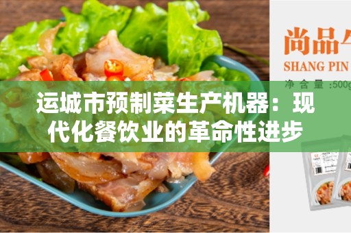 运城市预制菜生产机器：现代化餐饮业的革命性进步