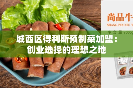 城西区得利斯预制菜加盟：创业选择的理想之地
