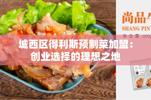 城西区得利斯预制菜加盟：创业选择的理想之地