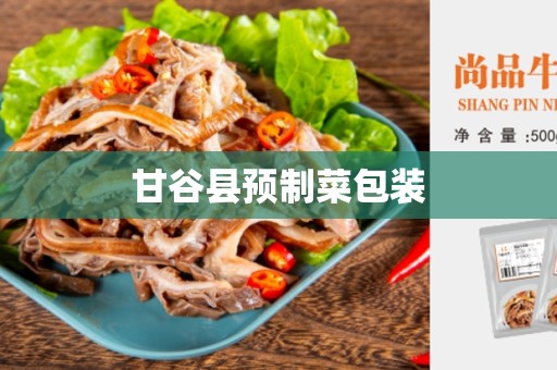 甘谷县预制菜包装
