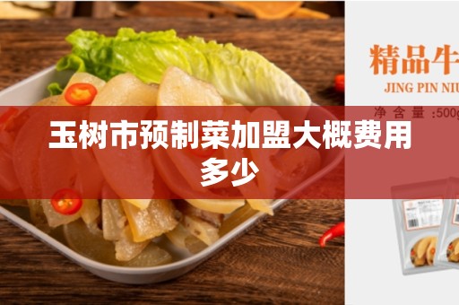 玉树市预制菜加盟大概费用多少