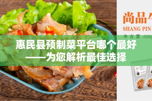 惠民县预制菜平台哪个最好——为您解析最佳选择