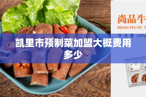 凯里市预制菜加盟大概费用多少
