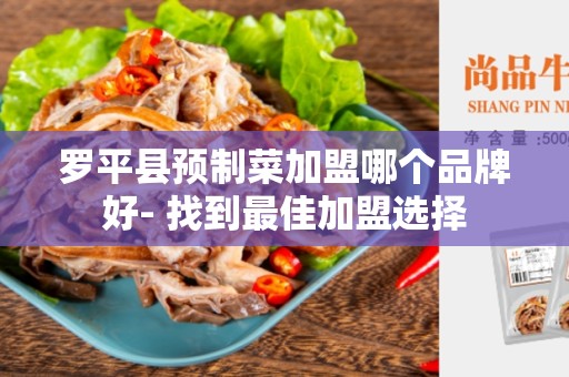 罗平县预制菜加盟哪个品牌好- 找到最佳加盟选择