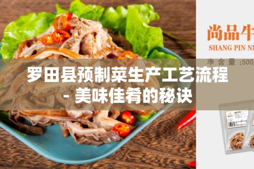 罗田县预制菜生产工艺流程- 美味佳肴的秘诀