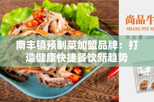 南丰镇预制菜加盟品牌：打造健康快捷餐饮新趋势
