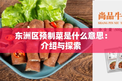 东洲区预制菜是什么意思：介绍与探索
