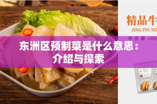 东洲区预制菜是什么意思：介绍与探索