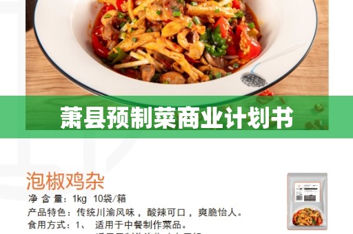 萧县预制菜商业计划书
